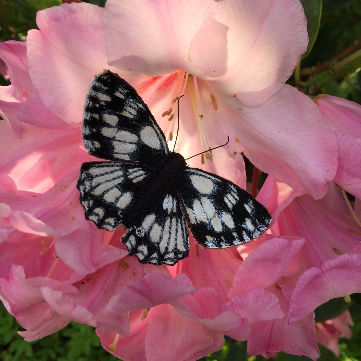 Marbled White Butterfly brooch