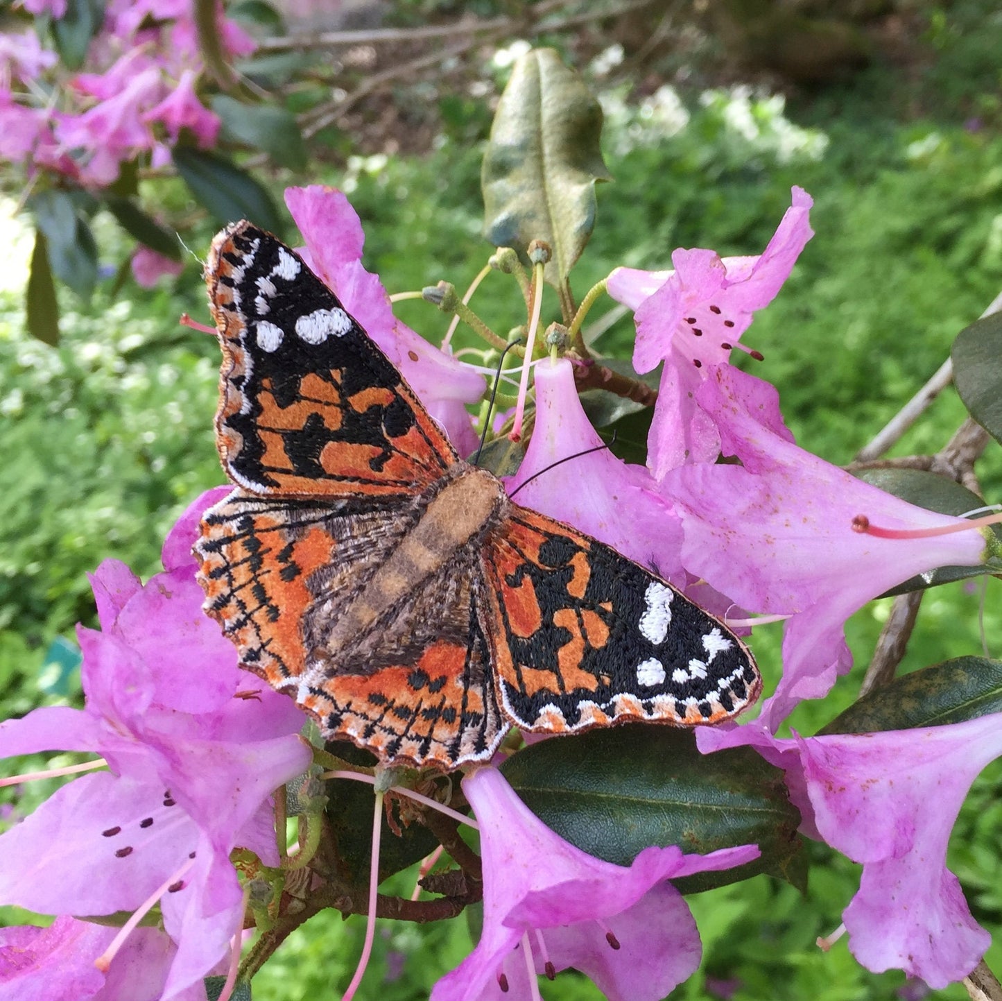 Embroidered fabric Painted Lady butterfly brooch