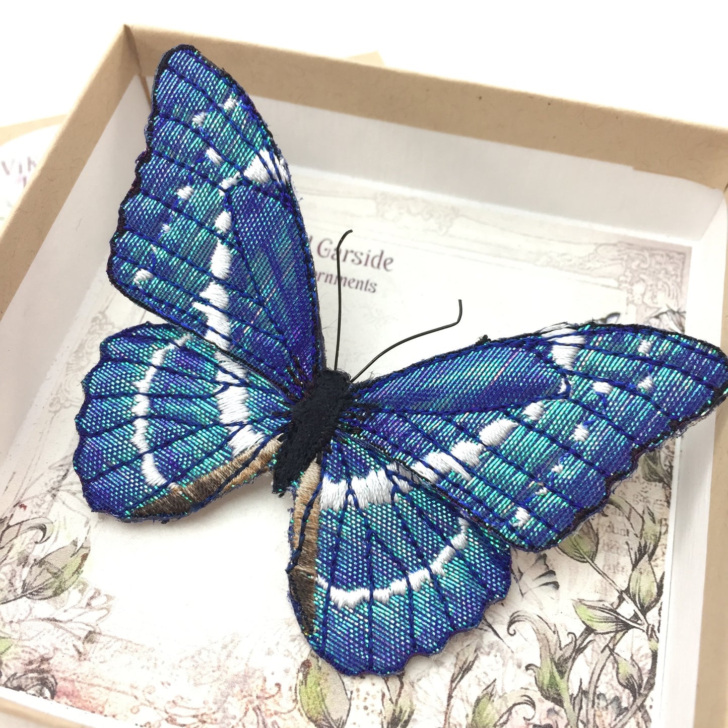 Blue Morpho butterfly, butterfly brooch, Morpho Helena